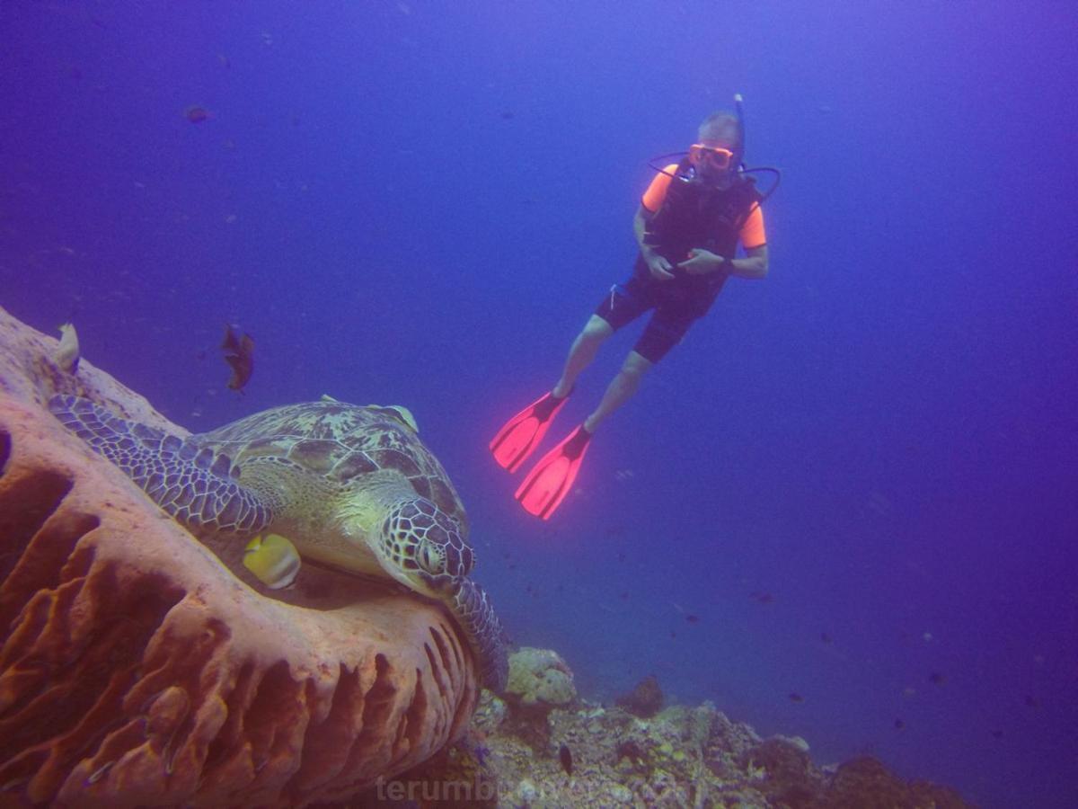 Anema Wellness & Resort Gili Lombok - Diving Center Padi Tanjung  Eksteriør billede