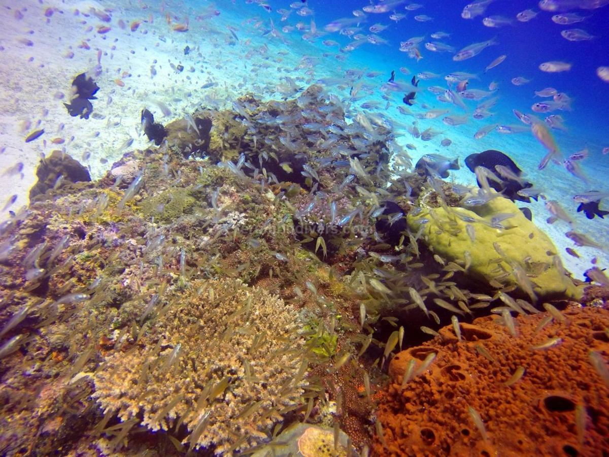 Anema Wellness & Resort Gili Lombok - Diving Center Padi Tanjung  Eksteriør billede